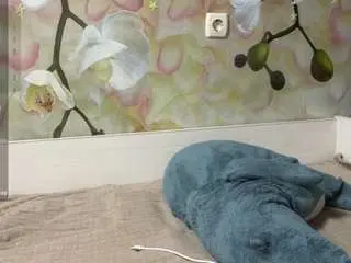 Yajairahazelbush  live sex cam
