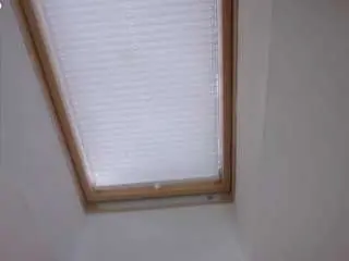 Abigailkuntz  live sex cam