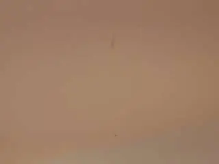 Abigailkuntz  live sex cam