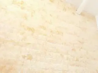 Mia-gadner  live sex cam