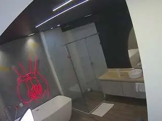 Voyeurcam-casa-salsa-bathroom-4  live sex cam