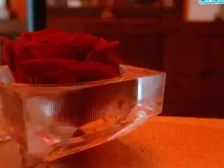 Noranoir  live sex cam