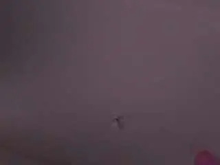 Miaquevedo  live sex cam