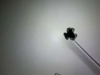 Indyreign  live sex cam