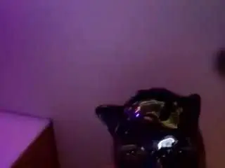 Casalshelby  live sex cam