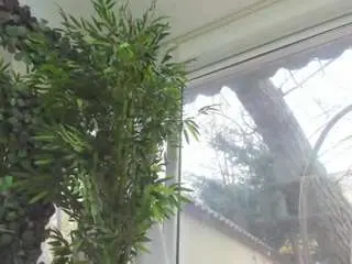 Lexistorm  live sex cam