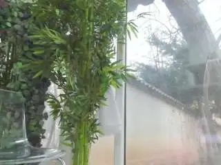 Lexistorm  live sex cam