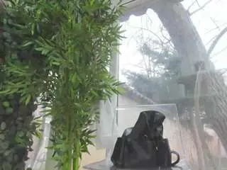 Lexistorm  live sex cam