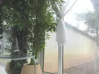 Lexistorm  live sex cam