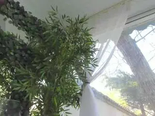 Lexistorm  live sex cam