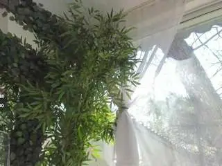 Lexistorm  live sex cam