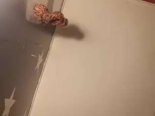 Angelofthickness  live sex cam