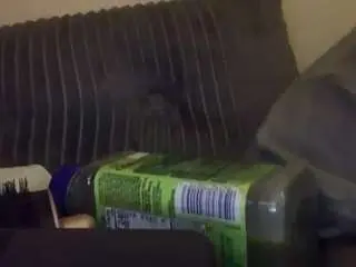 Stxllaxcx  live sex cam
