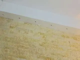 Bella-novoaa  live sex cam