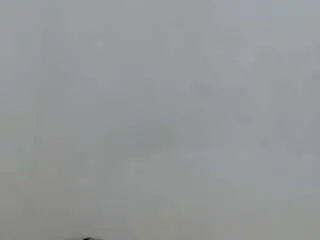 Salome-blondie8  live sex cam