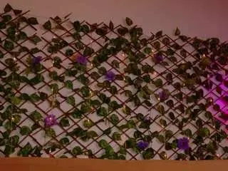 Tammyandrade  live sex cam