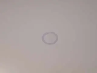 Saskia-litt  live sex cam