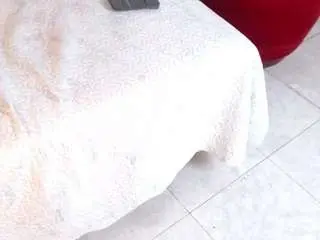 Almamoonclair  live sex cam