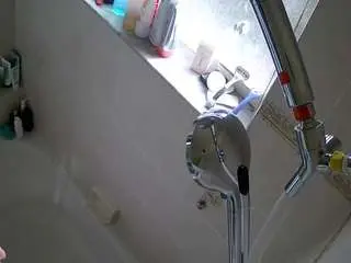 Voyeurcam-charleys-bathroom  live sex cam