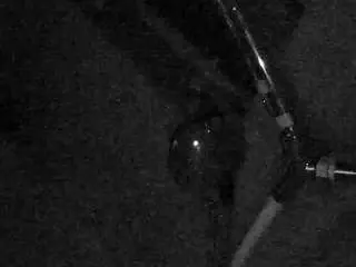 Voyeurcam-charleys-bathroom  live sex cam