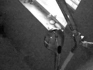 Voyeurcam-charleys-bathroom  live sex cam