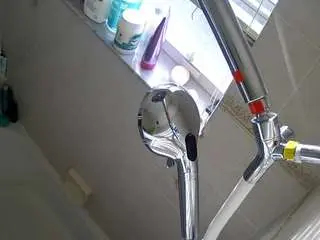 Voyeurcam-charleys-bathroom  live sex cam