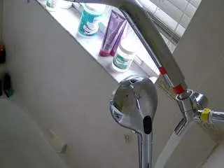 Voyeurcam-charleys-bathroom  live sex cam