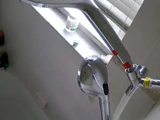 Voyeurcam-charleys-bathroom  live sex cam