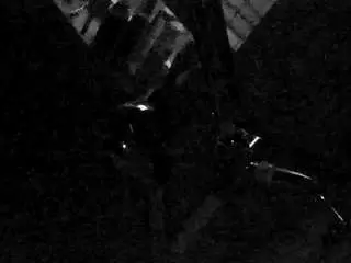 Voyeurcam-charleys-bathroom  live sex cam