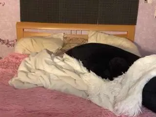 Eldorasebero  live sex cam