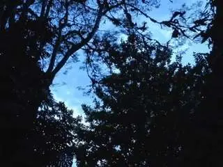 Angiehuston  live sex cam