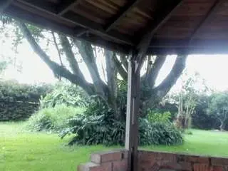 Angiehuston  live sex cam