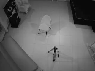 Voyeurcam-jb-room-8  live sex cam