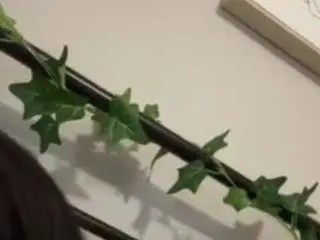 Graceinheat  live sex cam