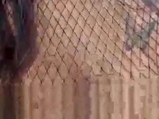 Melanie26  live sex cam