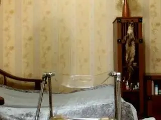 Valentina3859  live sex cam