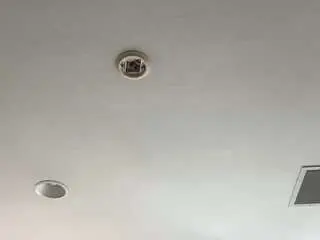 Whitneyoc  live sex cam