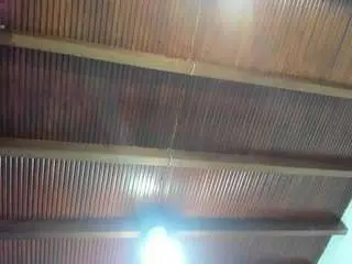 Paulinnacurvy  live sex cam