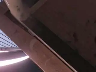 Channelwhite  live sex cam