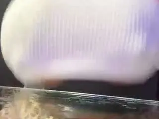 Ladycruz  live sex cam