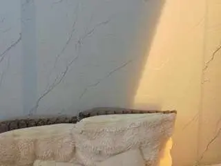 Addell3  live sex cam