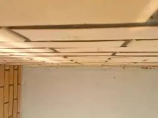 Treasahotze  live sex cam
