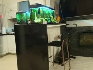 Laylalaylalayla9595  live sex cam
