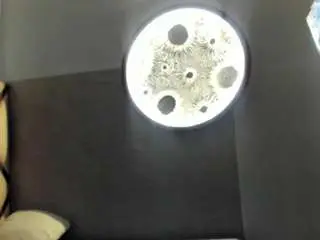 Dulce-34  live sex cam