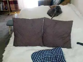 Sex2  live sex cam