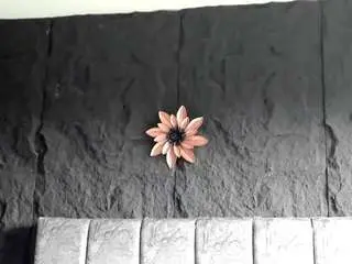 Melisa-bost1  live sex cam