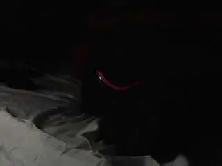 Sashakorny99  live sex cam