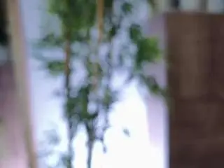Eloiise  live sex cam