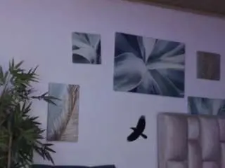 Eloiise  live sex cam