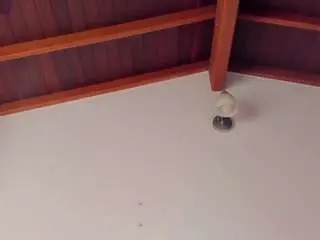 Samy-guerraa  live sex cam